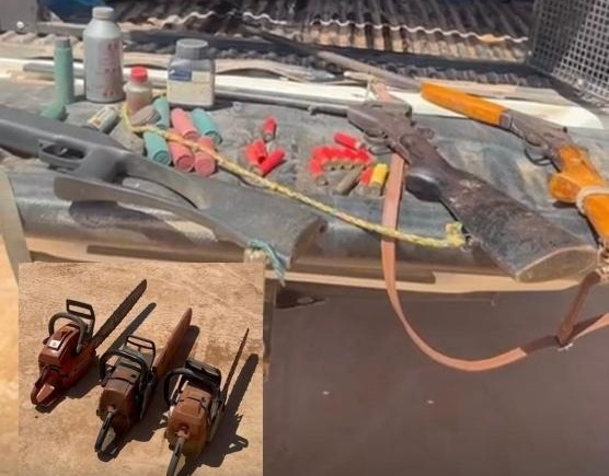 PM apreende armas e motosserras em operação na Estação Ecológica do Rio Roosevelt 