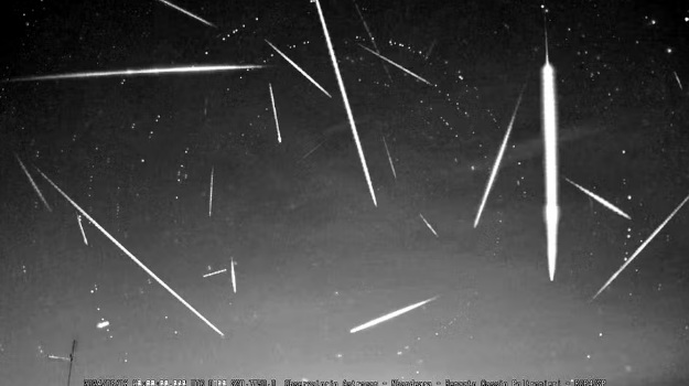 Chuva de meteoros Perseidas terá pico entre esta terça e quarta; veja como observar 