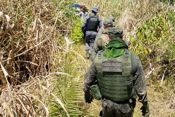 Polícia Militar fecha área de desmatamento ilegal em fazenda e prende três homens em flagrante 