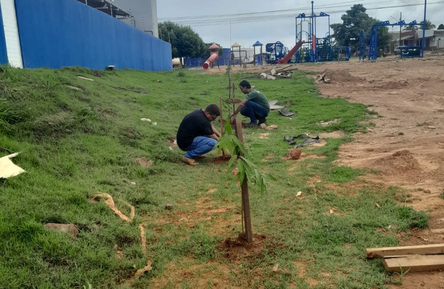  Secretaria de Meio Ambiente realiza arborização em vias públicas e conclui inventário arbóreo de Aripuanã 