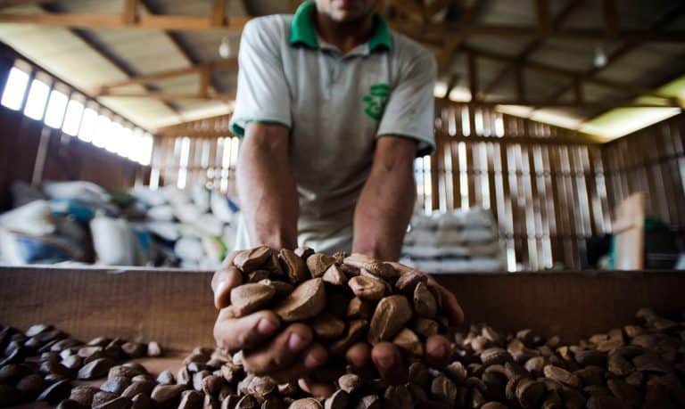 Exportações do Acre crescem 15,6% em 2026 e Assis Brasil concentra 60,8% do escoamento 