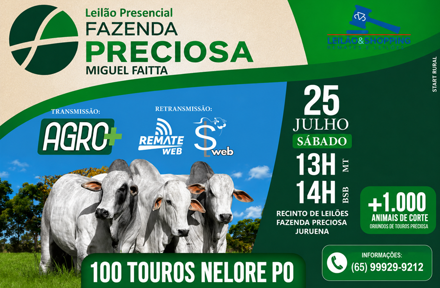 Fazenda Preciosa realiza leilão com 100 touros Nelore PO e mais de mil animais de corte em Juruena 
