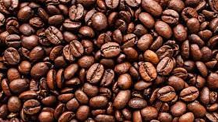 Cafeicultura ganha força e produtividade em Juína 
