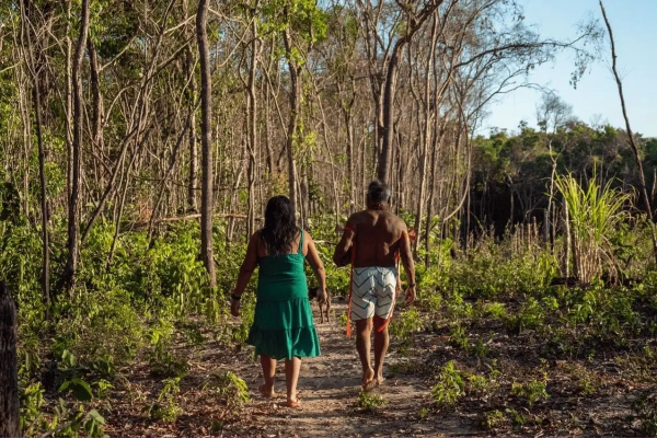 Indígenas de Brasnorte e região apostam em agroflorestas para recuperar áreas degradadas e enfrentar mudanças climáticas 