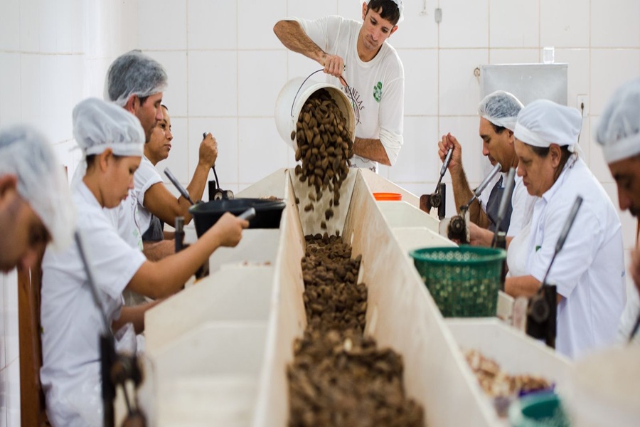 Governo quer escolher produtos verdes para vender mais na Europa 