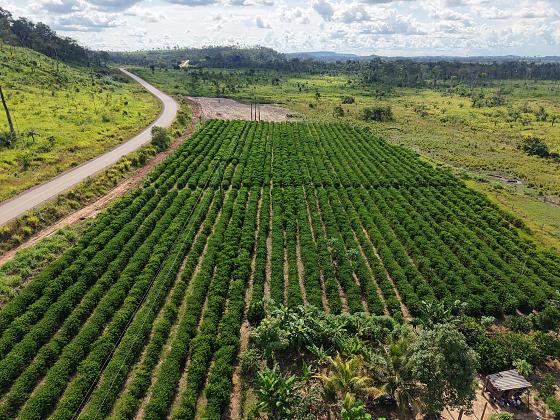Famato defende criação de 'Secretaria do Agro' no próximo Governo 