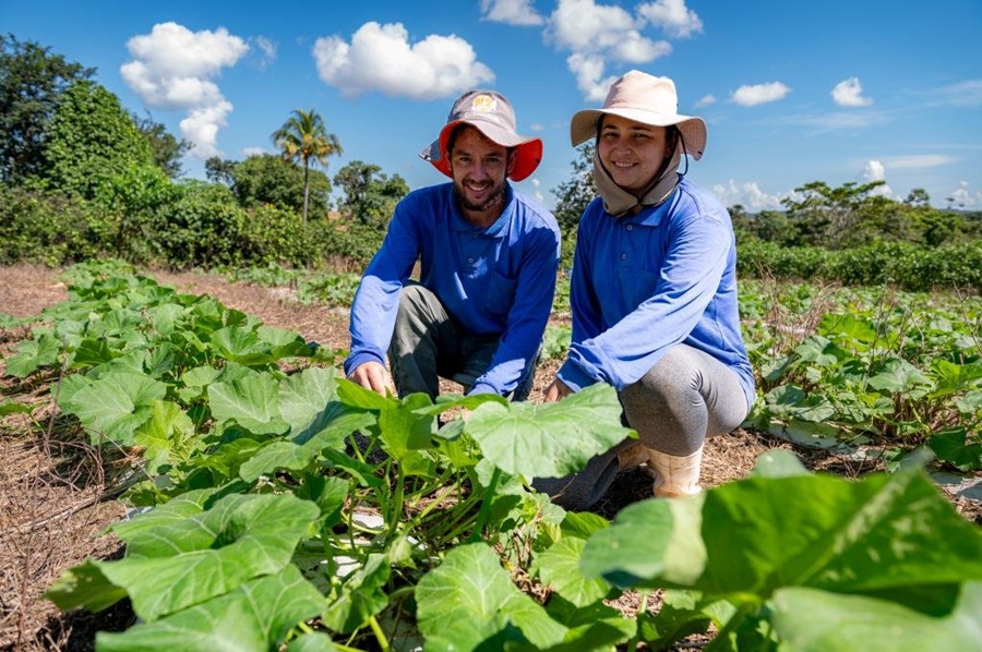 Associações e cooperativas de MT podem participar do Projeto MT Produtivo 