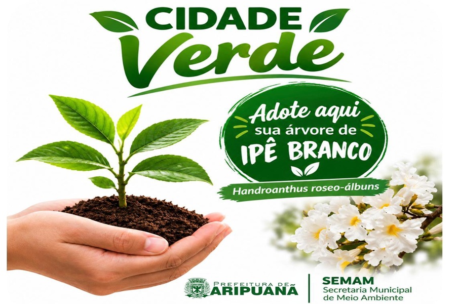 Aripuanã prepara programação especial para celebrar o Dia Mundial da Árvore 